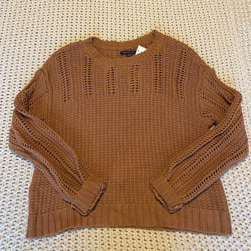 AE Fall Sweater